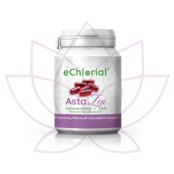 AstaZen : Astaxanthine + CBD (30 capsules)