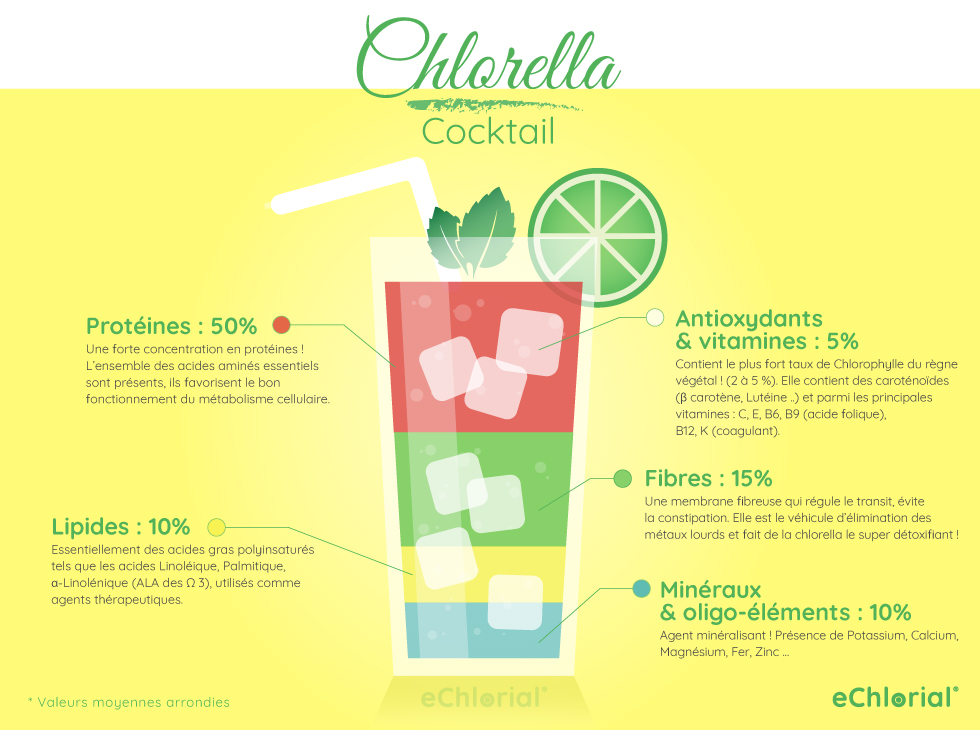 Infographie composition de la Chlorella: un véritable cocktail d’éléments précieux pour la santé