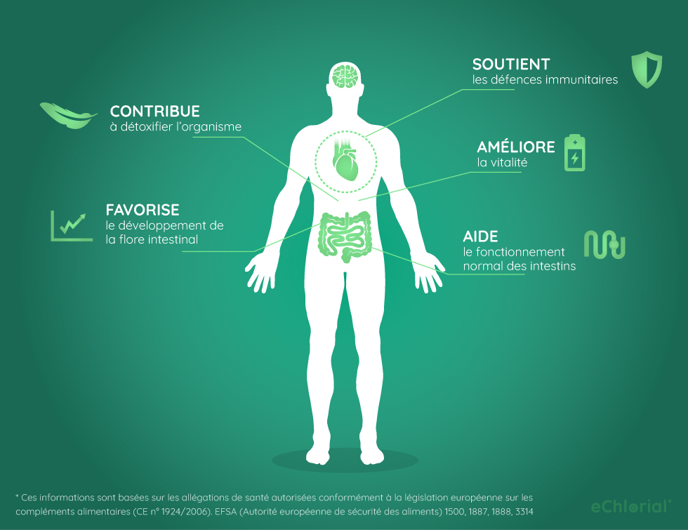 Infographie: effets bénéfiques de la chlorelle