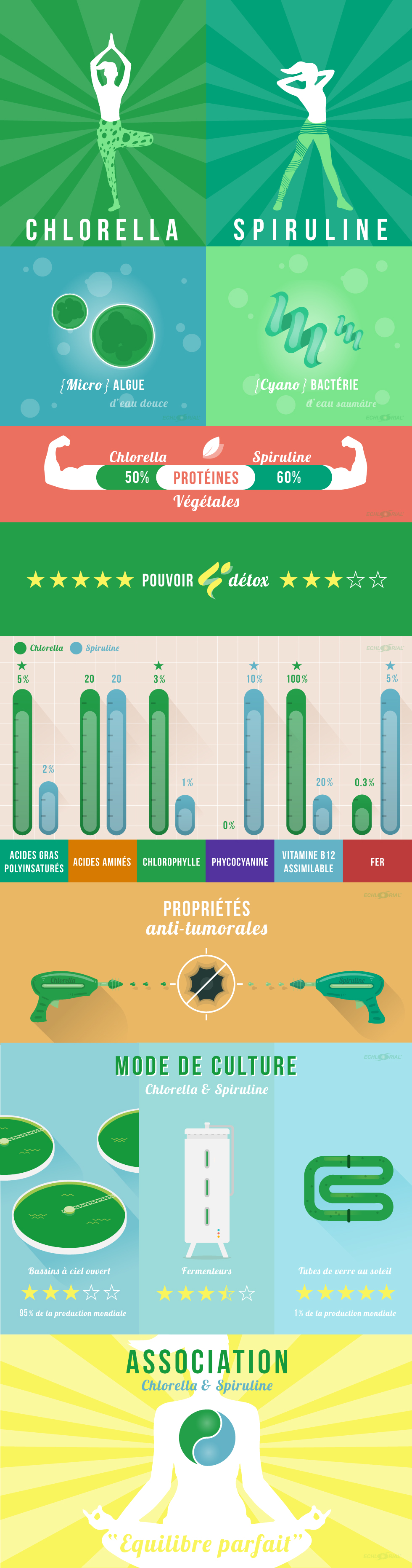 Infographie : différences entre Chlorella et Spiruline