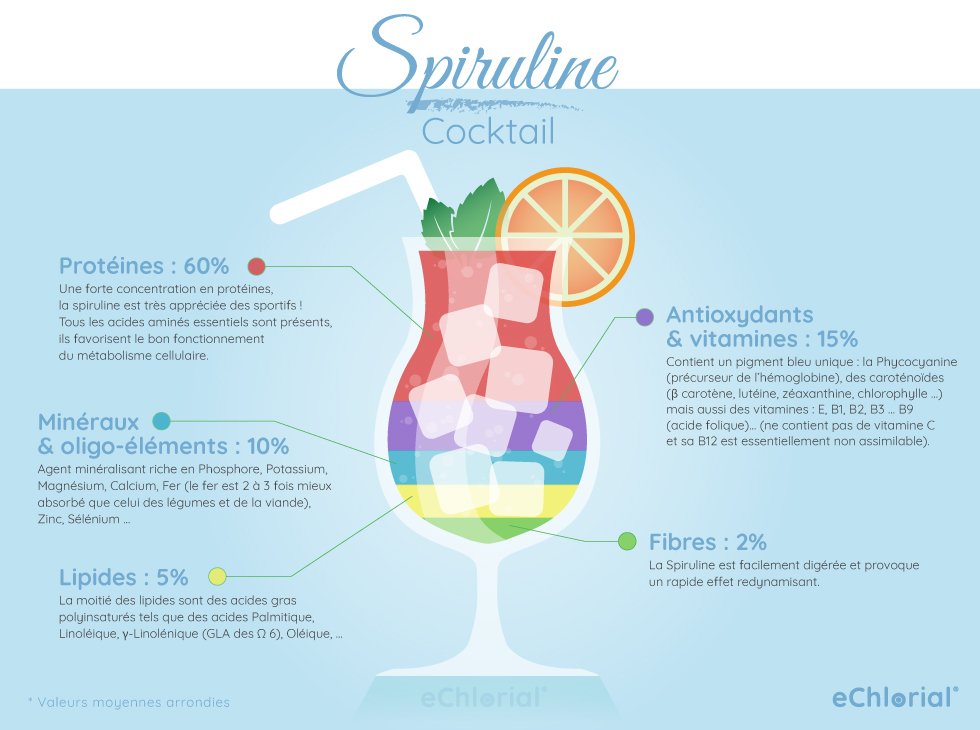 Infographie composition de la Spiruline: un véritable cocktail d’éléments précieux pour la santé
