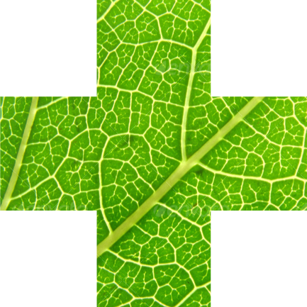 Professionnels Sante Naturopathie